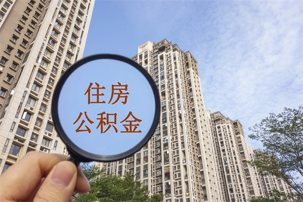 沙洋离职后公司不给转公积金怎么办（离职后公司不给转社保怎么办）